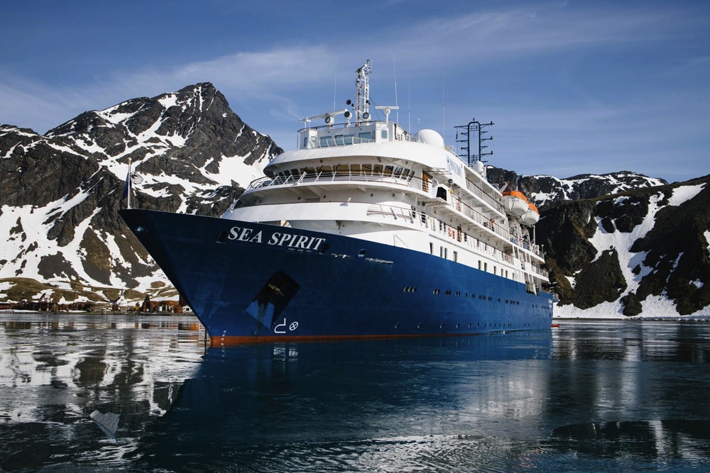 Best of the Southern Ocean